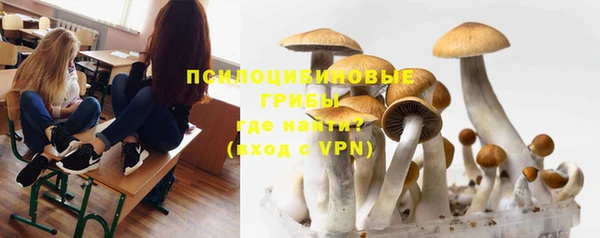 таблы Богданович
