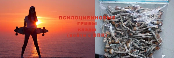 дурь Богородицк