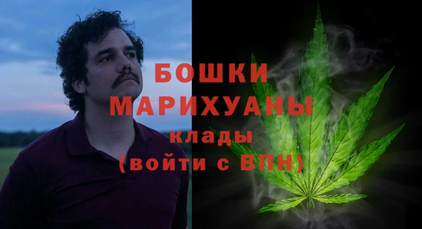дурь Богородицк