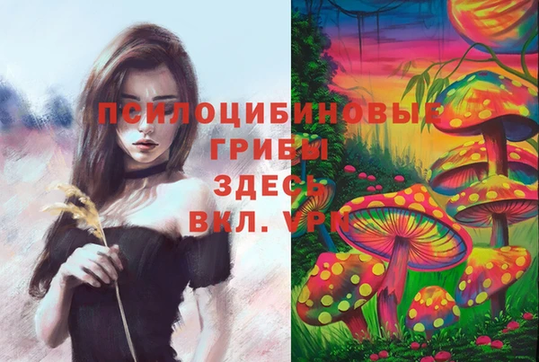 таблы Богданович