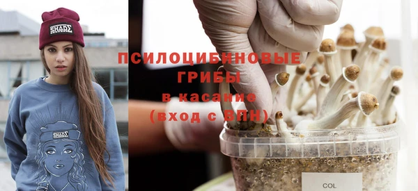 дурь Богородицк